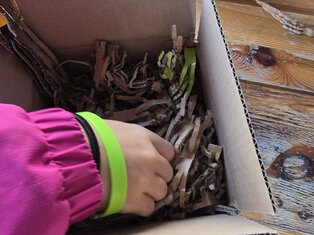 Paket packen