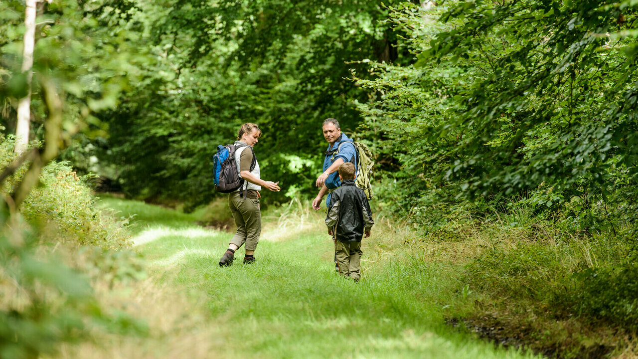 zwei Wandernde mit ihrem Kind im Wald